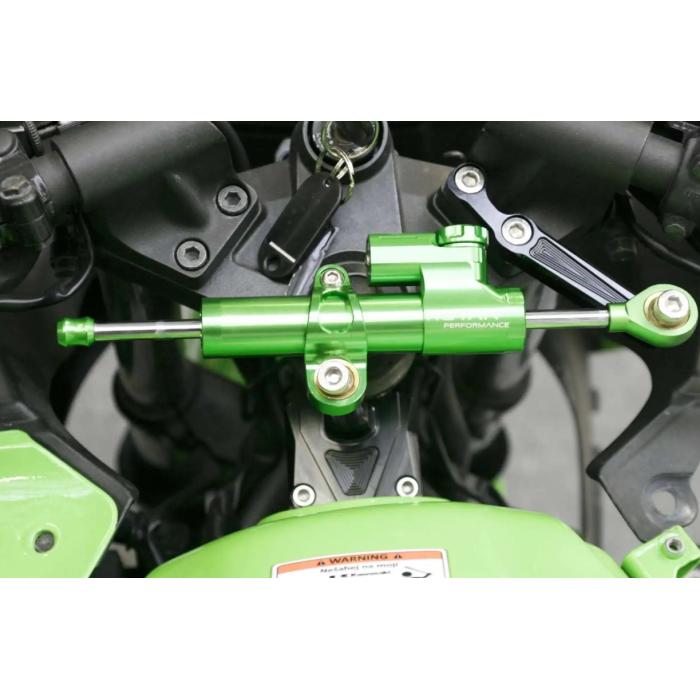 tlumič řízení pro Kawasaki ZX-250R Ninja, Barevná možnost zelená