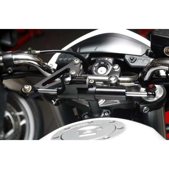 tlumič řízení pro Honda CB 600F Hornet 07-13, Barevná možnost zelená